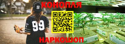 стафф Будённовск