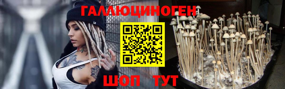 Одинцово  Галлюциногенные грибы MAGIC MUSHROOMS  Вход с VPN 